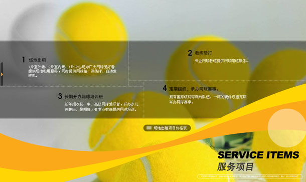 深圳市牧星策劃設(shè)計(jì)有限公司金地網(wǎng)球中心項(xiàng)目網(wǎng)站 服務(wù)項(xiàng)目