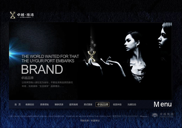 深圳市牧星策劃設計有限公司卓越維港項目網站 卓越品牌