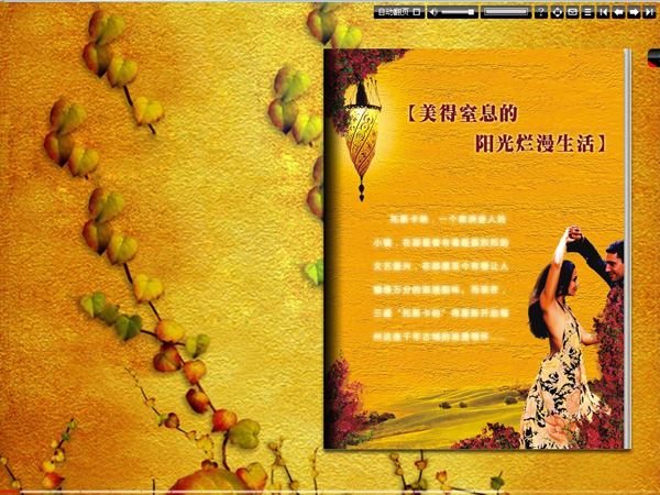 深圳市牧星策劃設(shè)計(jì)有限公司三盛.托斯卡納—樓書賞析
