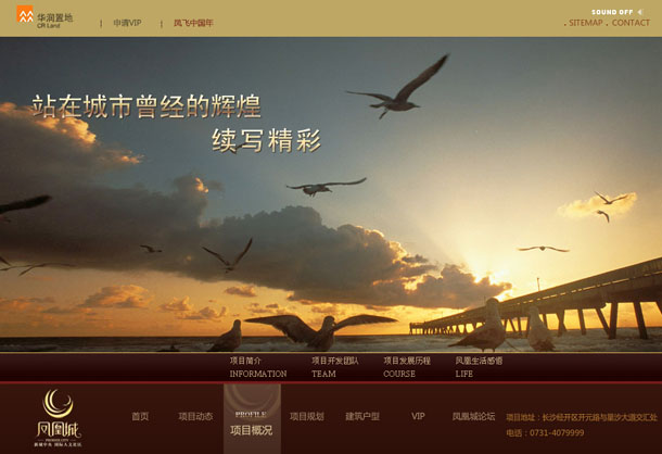 深圳市牧星策劃設計有限公司鳳凰城項目網站 項目概況
